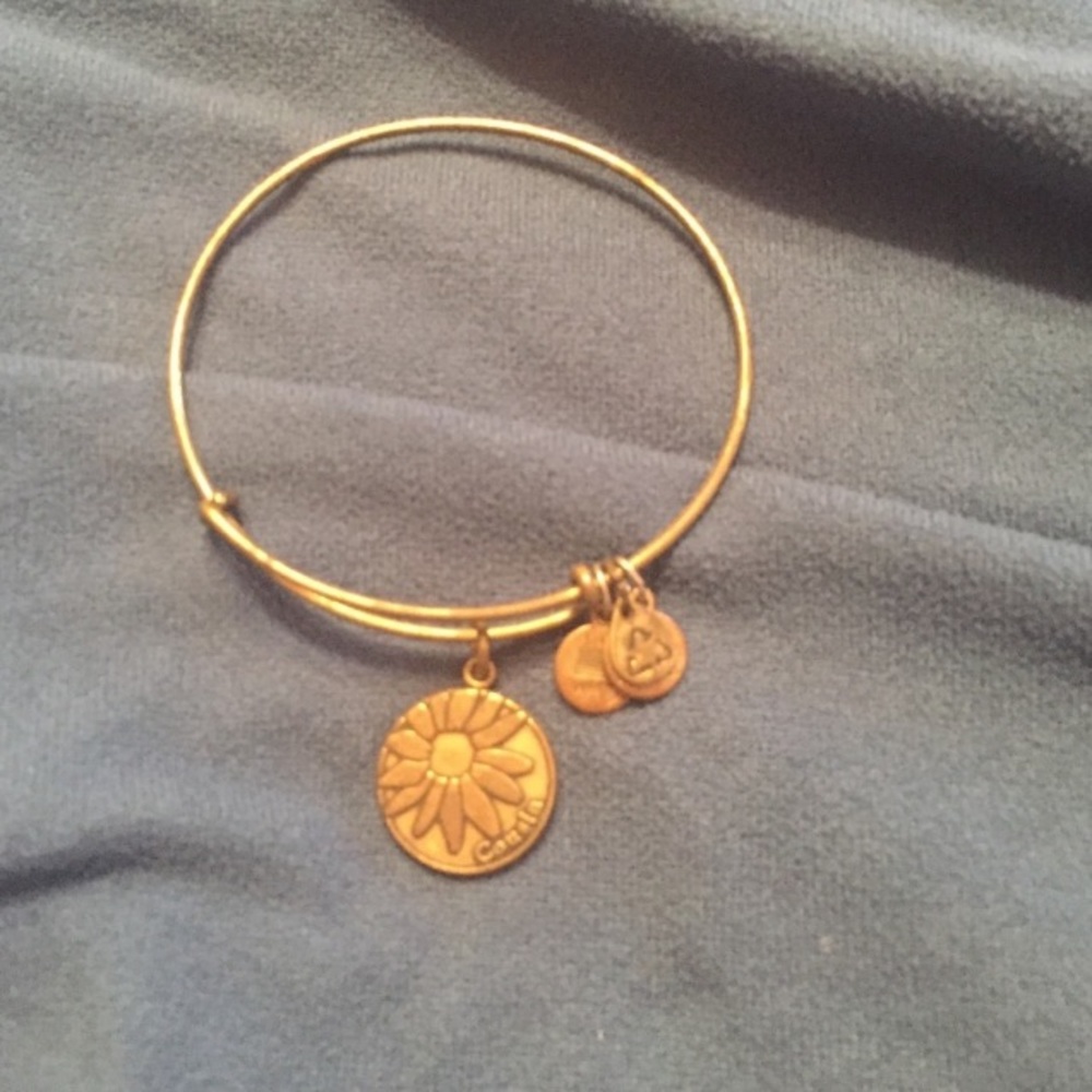 Cousin alex and ani